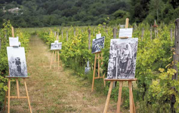 Bohatá činnosť Vajnorského vinohradníckeho spolku