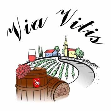 Via Vitis - Vajnorský vinohradnícky spolok sa uchádza o priazeň v rámci grantovej výzvy