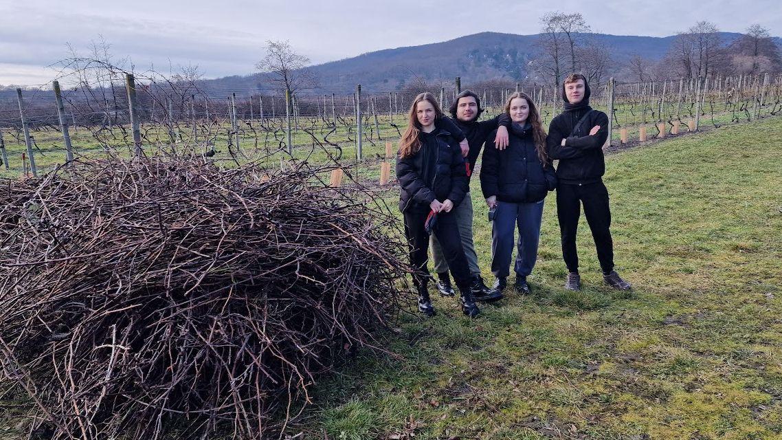 Prvá tohtoročná brigáda v komunitnom vinohrade